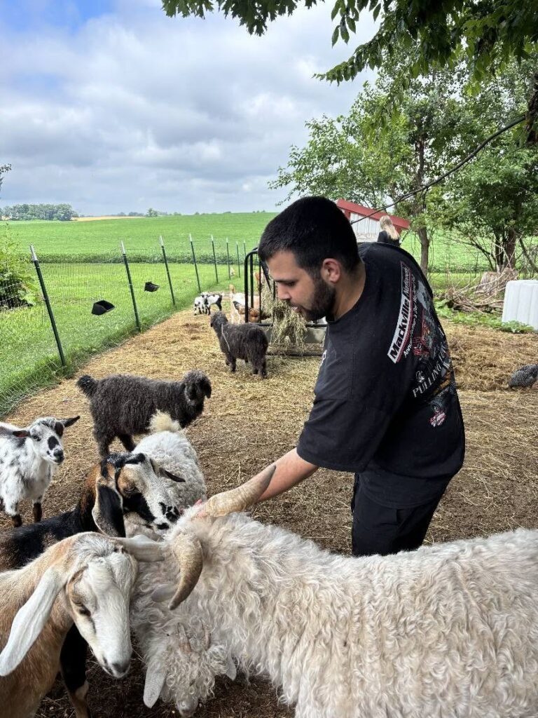 A male Onward Adult Day Center participant at a petting zoo, feeding some goats by hand.